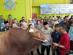 Gubernur Lampung Serahkan Bantuan Sapi Qurban dari Presiden RI