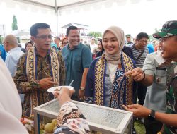 Wagub Lampung Kunker Kemenko PM