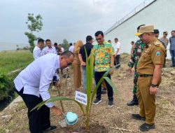 Wujudkan Ketahanan Pangan, Lapas Narkotika Bandar Lampung Tanam Pohon Kelapa Bersama Forkopimcam dan BNNK Lamsel