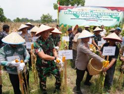 Panen Raya Serentak, Pangdam XXI/Radin Inten Hadir Bersama Polda Lampung