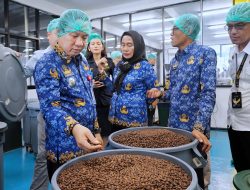 Kopi Bubuk Lampung Resmi Tembus Ekspor, Tandai Babak Baru Hilirisasi