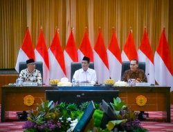 Pemerintah Perketat Impor Etanol dan Singkong, Lampung Sambut Baik Kebijakan Pro-Petani