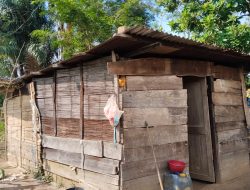Miris, Warga di Kabupaten Toba Tinggal di Rumah Tak Layak, Sambil Mengasuh Anak dan Mengandung Bayi