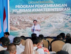 Hilirisasi Ayam Terintegrasi Dimulai, Lampung Targetkan Nilai Tambah Peternakan