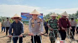 Dalam Mewujudkan Program Pemerintah Pusat.Polres Kaur Tanam Jagung Kuwartal 1 Wujutkan Swasembada Jagung.