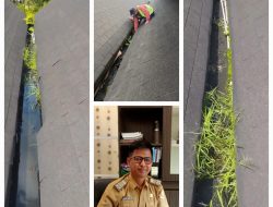 Dinas PUPR Tubaba Gerak Cepat Perbaiki Talang Air Gedung Sesat Agung Tersumbat Kotoran Lumut