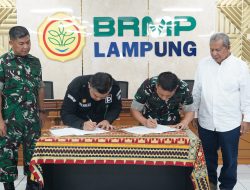 Korem 043/Gatam Siap Kawal Program Cetak Sawah Demi Ketahanan Pangan Nasional