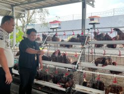 Rutan Kelas I Bandar Lampung Laksanakan Vaksinasi 250 Ayam Petelur untuk Jaga Kesehatan Ternak