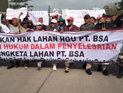 Dari 1.100 Hektar Tersisa 60 Hektar, Sejarah Perselisihan Satu Dekade Memicu Ribuan Karyawan PT BSA Turun ke Jalan Tuntut Keadilan